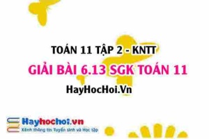 Bài 6.13 SGK Toán 11 Tập 2 Kết nối tri thức